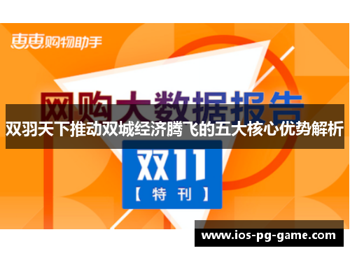 双羽天下推动双城经济腾飞的五大核心优势解析