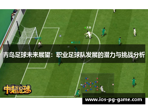 青岛足球未来展望：职业足球队发展的潜力与挑战分析