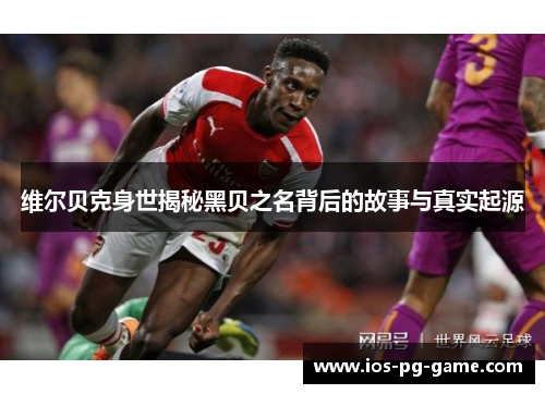 维尔贝克身世揭秘黑贝之名背后的故事与真实起源