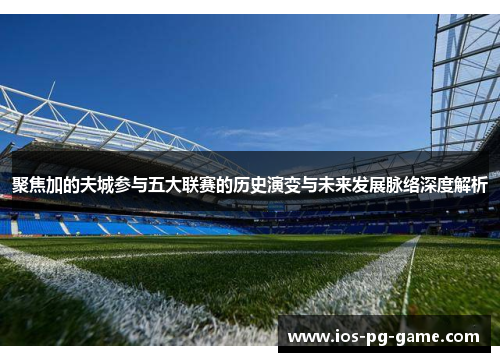 聚焦加的夫城参与五大联赛的历史演变与未来发展脉络深度解析 聚焦加的夫城参与五大联赛的历史演变与未来发展脉络深度解析
